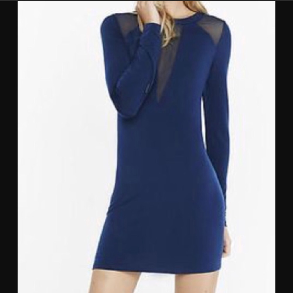 Express Straight Sheer V Dress